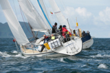 nimrod gbr8262 whyw16 sun 800 0561w